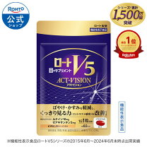 楽天市場】ロート v5 送料無料の通販
