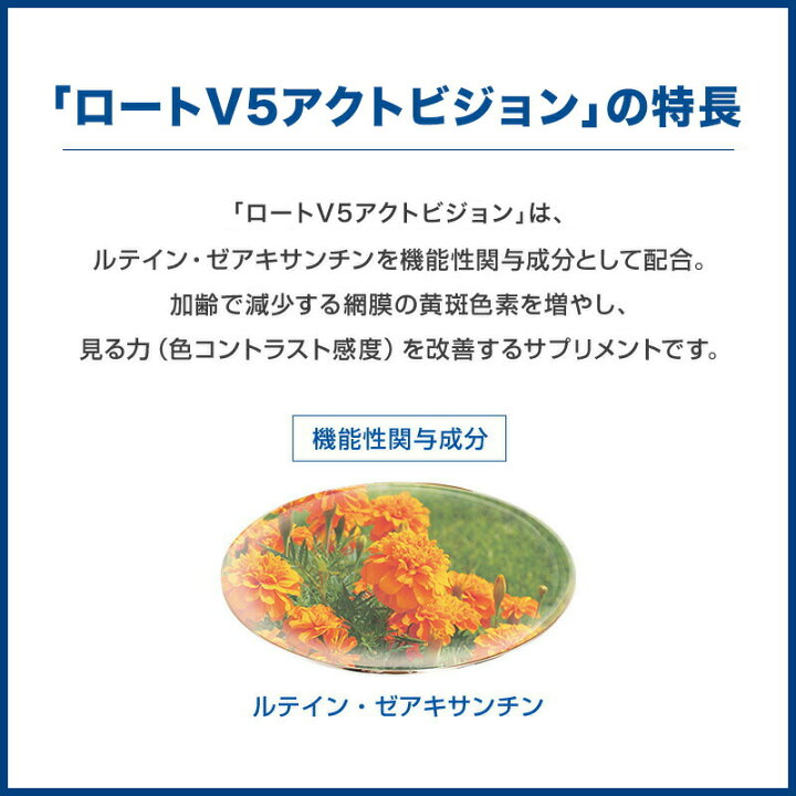 楽天市場】公式 ロートV5 アクトビジョン 62粒 2か月分 ロート製薬 