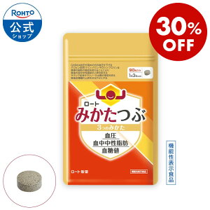 [ }\I30%OFFN[| ] [g݂ 3݂̂a 90 30 [g  _CGbgTv b H㌌l   z } } @\\Hi 