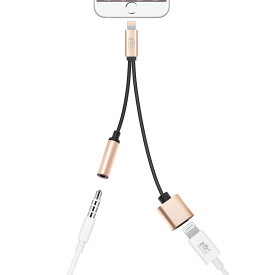 RoiCiel 2in1 iPhone ライトニングポート3.5mm端子 イヤホン 変換アタプター(Lightnin 充電ジャック 3.5mmオーディオジャック) 変換ケーブル5V/2.4A急速充電 音楽再生 音量調節可能 充電しながらイヤホン 2ポート搭載 ヘッドフォンアダプター iPhone・iPadなどiOS機種対応