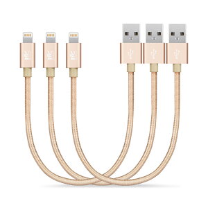 y3{Zbgz RoiCiel 2dҍ ϋviC f RpNg [q iphoneP[u CgjOP[u Lightning P[u f[^] iPhone 14 13 12 11 X 8 7 6 5 SE iPad iPod Ή Lightning[dP[