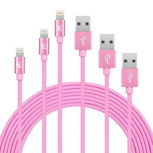 y3{Zbgz RoiCiel 2dҍ ϋviC f RpNg [q iphoneP[u CgjOP[u Lightning P[u f[^] iPhone 14 13 12 11 X 8 7 6 5 SE iPad iPod Ή Lightning[dP[