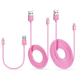 y3{Zbgz RoiCiel 2dҍ ϋviC f RpNg [q iphoneP[u CgjOP[u Lightning P[u f[^] iPhone 14 13 12 11 X 8 7 6 5 SE iPad iPod Ή Lightning[dP[