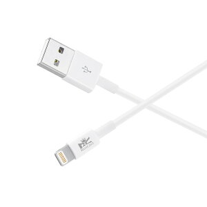 y3{Zbgz RoiCiel CgjOP[u iphoneP[u LightningP[u iPhone iPad iPod AirPods eΉ lightning[dP[u USBP[u zCg fBAYV[Y