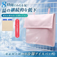 【期間限定57%OFF 3591→1537円 7/20まで】 小動物用アイスパック 保冷剤 ひんやり クールパック 涼しい …