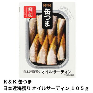 K&K ʂ {ߊCl ICT[fB(105g)(Pi)