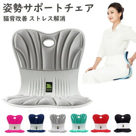 姿勢が良くなる 椅子 姿勢矯正 イス 姿勢サポートチェア 骨盤矯正 立てる 姿勢 よくなる 低反発 クッション 姿勢サポートシート 姿勢補正 猫背矯正 腰 肩こり 肩凝り 歪み ゆがみ 解消 背もたれ チェア 座椅子 デスクワーク サポーター
