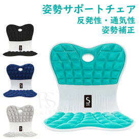 姿勢が良くなる 椅子 姿勢矯正 イス 姿勢サポートチェア 骨盤矯正 立てる 姿勢 よくなる 低反発 クッション 姿勢サポートシート 姿勢補正 猫背矯正 腰 肩こり 肩凝り 歪み ゆがみ 解消 背もたれ チェア 座椅子 デスクワーク サポーター 持ち運び 運転 プレゼント ギフト 子供