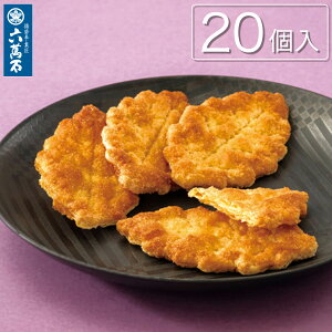 ΕyZݐ zBzݖς 20   [tpC ݖpC  َq   Mtg yY j wj ܂  Ae j lC N