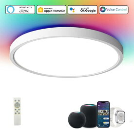 【Siri&Alexa対応 】スマート LEDシーリングライト RGB系間接照明 Alexa/HomeKit対応 6畳 間接光調光 導光板 フラット型 調光調色 北欧風 Echo/Google Home/Smart life/Siri メーカー1年保証