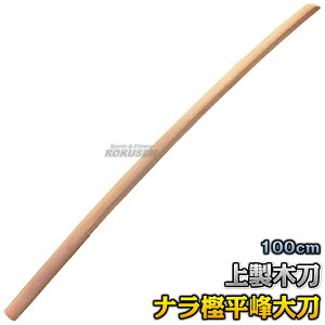 yzؓ 㐻ؓ i~E 品 CO WHB1 F100cm ، ؑ  C ~ ؓ Ֆ ^PtW