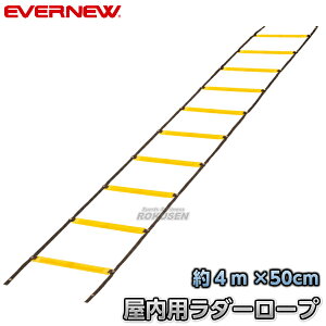 yEVERNEWEGoj[z\tg_[g[jO[v EGA480