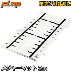 yFLAPzW[}bg 2m F451 їpW[V[g wZ̈pv@ 