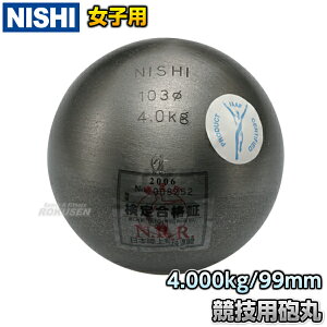 yNISHI jVEX|[czCۓ C qp 4.0kg F253A  Ă  Syzysmtb-kzykyz