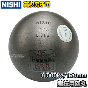 yNISHI jVEX|[czCۓ C ZjqEU20jqp 6.0kg F291A  Ă  Syzysmtb-kzykyz
