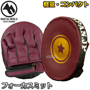 y}[V[hzp`O~bg tH[JX~bg PM16 p`~bg LbN{NVO MMA iZ vp MARTIAL WORLD