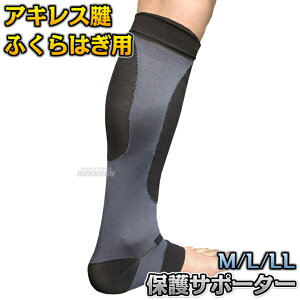 yzT|[^[ ALXFEӂ͂یT|[^[EX CZ-86iCZ86j ܃T|[^[ ^PtW