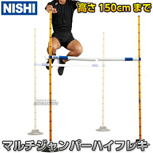 yNISHI jVEX|[cz}`Wp[nCtL 2g 3833A739 n[h