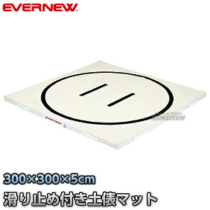 yEVERNEWEGoj[zRۓyU}bg ׂ~ߕt 300×300cm EKM509 o}bg }bg