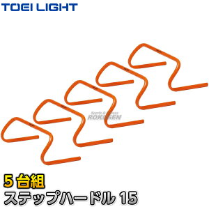 yTOEI LIGHTEg[GCCgzXebvn[h15 G-1024iG1024j 45×15cm 5g ~jn[h WX^X XYSTUS