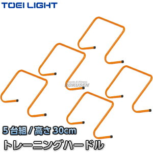yTOEI LIGHTEg[GCCgzg[jOn[h30 G-1919iG1919j 52×30cm 5g ~jn[h WX^X XYSTUS