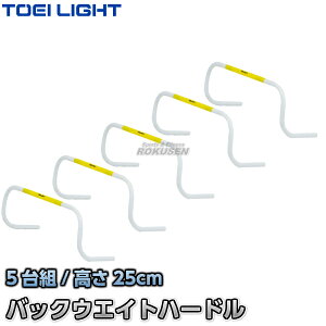 yTOEI LIGHTEg[GCCgzobNEGCgn[h25 G-2009iG2009j 69×25cm 5g ~jn[h WX^X XYSTUS
