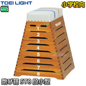 yTOEI LIGHTEg[GCCgzєST8i^ T-2697iT2697j є Ƃт΂ wZ WX^X XYSTUS