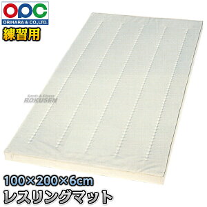 y܌zXO}bgKp 100×200×6cm 1Pi WG741 ܌쏊