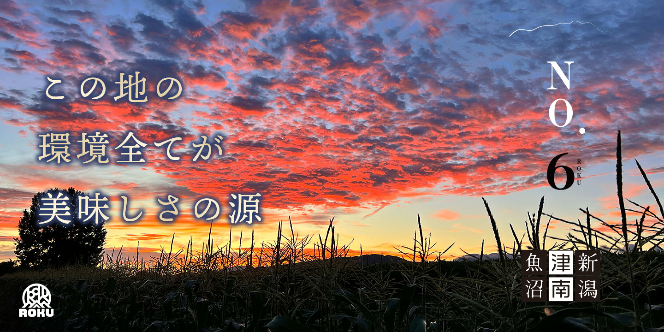 この地の環境全てが美味しさの源