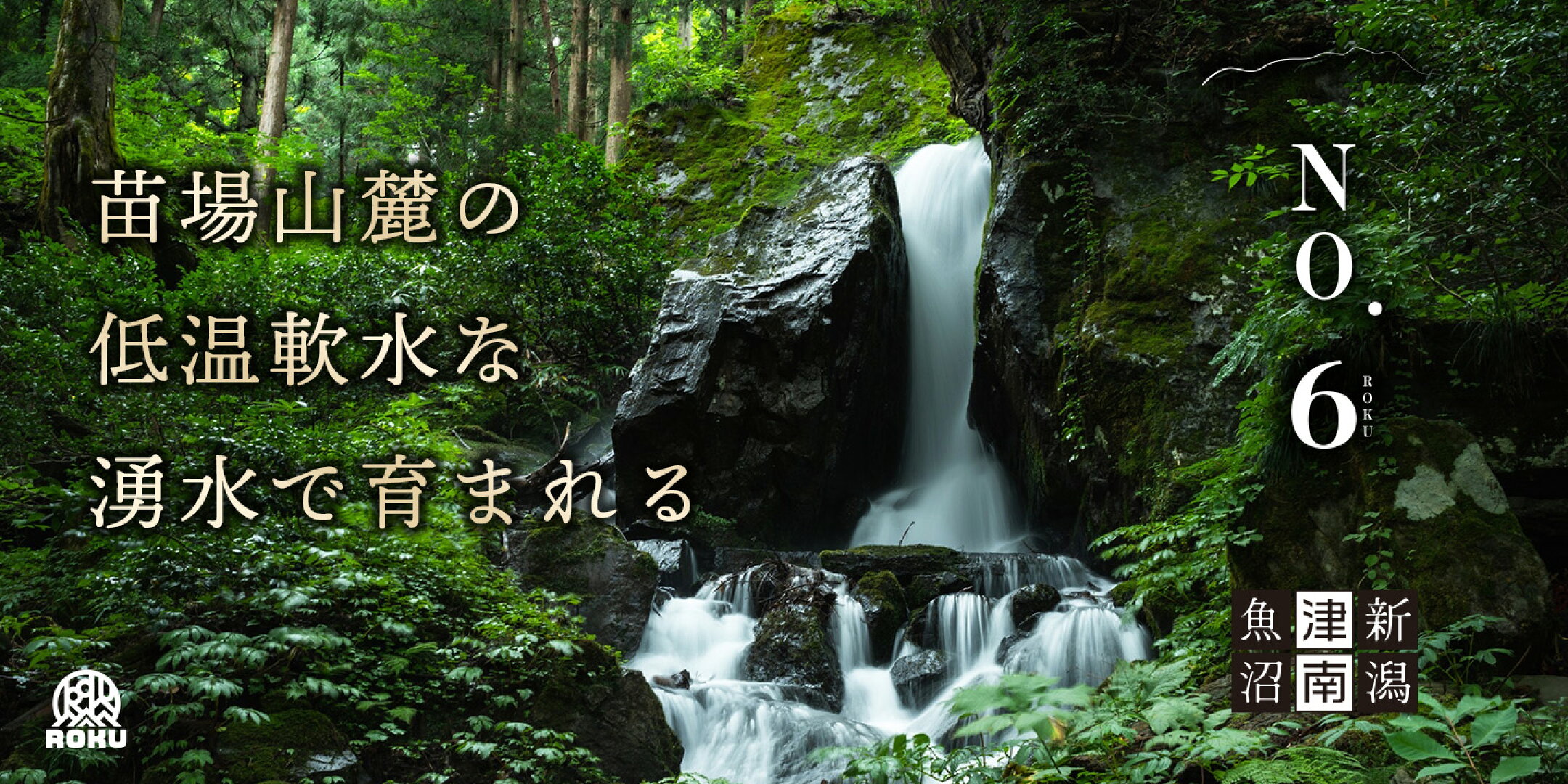 苗場山麓の低温軟水な湧水で育まれる