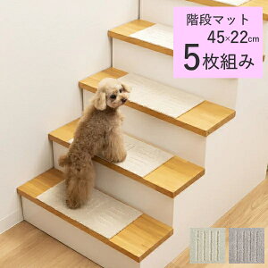 �s�^�y�g���@�K�i�}�b�g45×22cm�@5������@�z���^�C�v