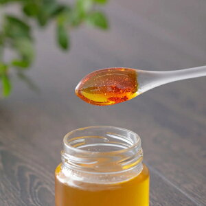 }[i@Bee Happy@݂͂fBbp[@K-732