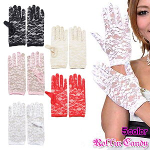 y[12_܂270~zt[[X O[u/ V[gO[u tH[} EFfBO p[eB[  Xe[W _X ߑ GKg \ uC_ fB[X W