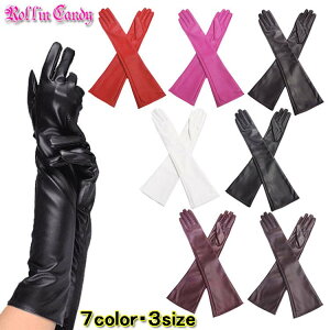 y[2_܂270~z3TCY tFCNU[OO[u/  ubN uE zCg bh sN  F   _X ߑ ߏ |[_T[ TCY 傫