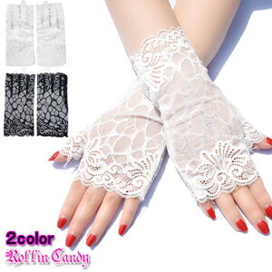 y[6_܂270~z[X tBK[X O[u/ V[gO[u tH[} EFfBO p[eB[  w wȂ Xe[W ߑ _X ߏ GKg \ 