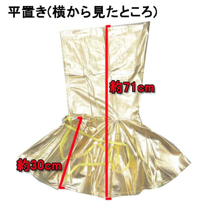 楽天市場】【メール便2点まで270円】ダンス衣装・ステージ衣装に 