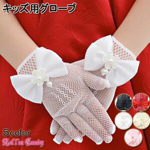 y[zy[8_܂270~zqǂp{p[r[Yt lbg V[g O[u/  \   Ǝ ܎O EFfBO OK[ p[eB[ 