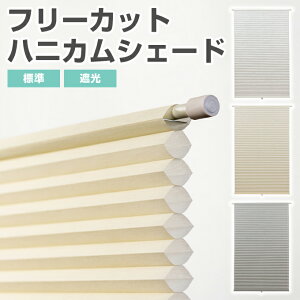 yt[Jbg njJVF[h KiTCY 24cm 35cm 45cm 58cm 73cm 110cm zp Ռ H (Ռ ՔM UV n VO)