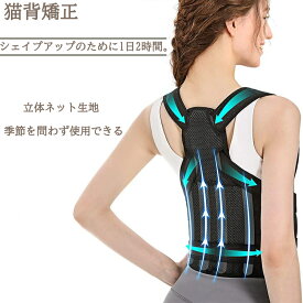 腰用 コルセット 猫背 ベルト 薄型 通気性 補正 腰サポーター 姿勢 メッシュ 強力固定 二重加圧式 腰負担軽減 デスクワーク 仕事用 作業用 男性用 女性用