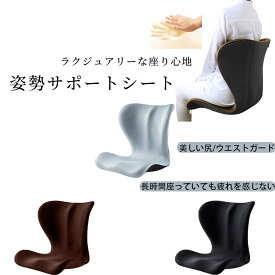 骨盤 矯正 椅子 シート ゆがみ グッズ 姿勢が良くなる 椅子 骨盤 立てるトレーニング デスクワーク 姿勢改善 骨盤 クッション 座椅子 サポート チェア 腰痛 猫背 オフィス デスクワーク 最高品質 プレミアム