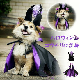 ハロウィン ペット服 マント ポンチョ 猫服 犬服 ハロウイン衣装 猫の服 ペットウェア 2点セット コスプレ コウモリ 蝙蝠 魔法使い 魔女 撮影 コスチューム 中 小型犬 犬用 ペット用