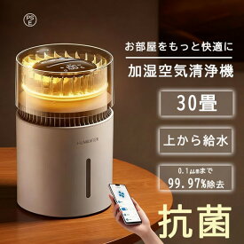 空気清浄機 加湿器付き 5L 大容量 気化式 加湿器 24畳 30畳 ミニ空気清浄機 花粉 360°空気強力浄化 消臭 除菌 脱臭 ホコリ 集じん PM2.5 ペット 省エ 静音 マイナスイオン