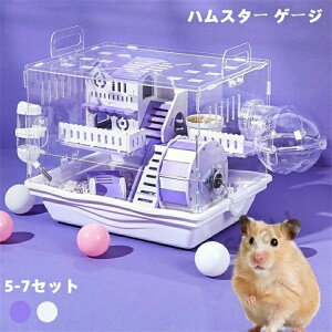 nX^[P[W 傫 nX^[nEX 7Zbg 2K |Cg  P[W 炩 L ʋCQ gȒP  ^ 񂵎 GTM {E ^ ߋV[\ 