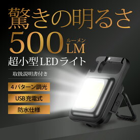 【送料無料】LEDライト 懐中電灯 小型 USB充電式 強力 防水 500ルーメン 超軽量 ミニライト 作業灯 キャンプライト アウトドア 災害 停電 非常用 マグネット付 三脚対応