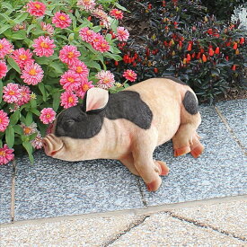 うたた寝する、子豚さんの像 彫像 アート彫刻置物 庭園 芝生 ガーデン コレクション 贈り物(輸入品