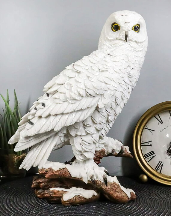 楽天市場】白い雪フクロウの彫像 高さ 約31cm 夜行性の鳥フクロウ 
