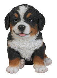 バーニーズ マウンテン ドッグの子犬の彫像 アート彫刻フィギュア 庭園 エントランス 玄関 贈り物(輸入品