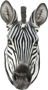 AtJȔn Ǒ V}E} wbhE}Eg23.5cm CeA   蕨 Ai