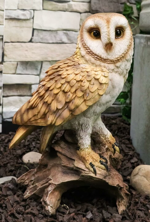 楽天市場】リアルな自然野生生物 木の切り株にとまるメンフクロウ彫像 