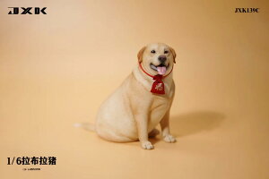 1/6TCY ̉u CG[ uh[ g[o[AtBMAu CkDAiJXK-139C